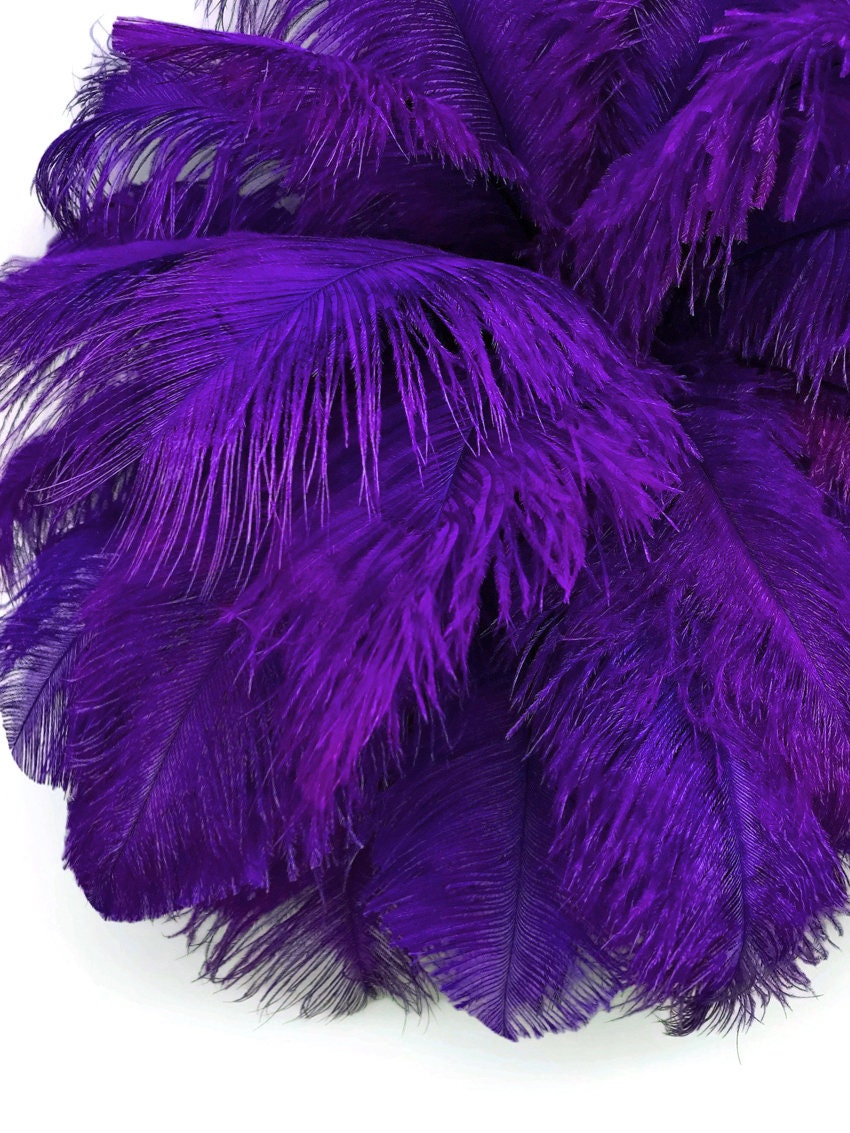 Violet Feather Ostrich Feathers Feather Trim Craft Feathers Color Feathers  Black Feathers Dress Feather Ostrich Trim Active 