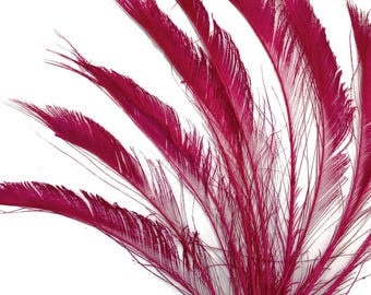 USA SELLER, 5 Pieces - 10-12" Burgundy Bleached & Dyed Peacock Swords Cut Feathers Wedding Boho Fly Tying Decor Supply : 3990