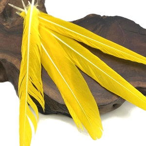 4 Pieces - Natural Neon Yellow Rare Conure Parrot Tail Ethically Sourced Feather Fly tying Craft Supply : 4248
