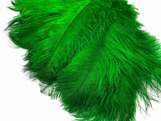Fascia Per Capelli Grande Gatsby Con Piume Di Struzzo