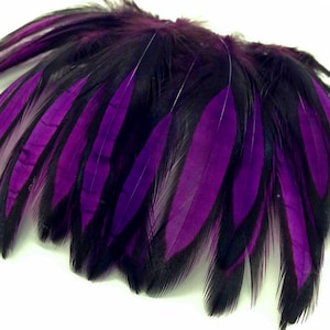 May include: A bunch of black and purple feathers. The feathers are arranged in a fan shape and have a soft, fluffy texture.
