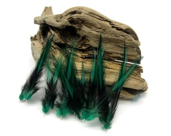 Raindrop Feathers, 10 Pieces - Peacock Green Dyed BLW Laced Short Rooster Cape Whiting Farms Feathers : 3195