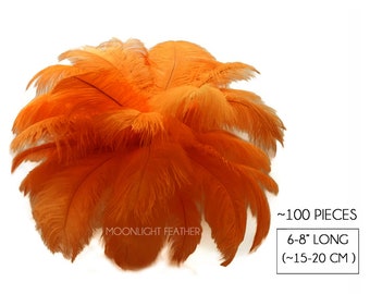 USA Feathers, 100 Pieces - 6-8" Orange Dyed Ostrich Drabs Body Plumage Wholesale Feathers (bulk) Carnival Prom : 1448