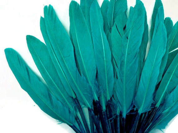 Natural Peacock Feathers. Long Dark Green Peacock Bird Feathers