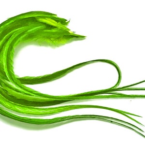 Neon Feathers, 6 Pieces - XL Solid Lime Green Thick Long Whiting Farm Rooster Saddle Hair Extension Feathers Fly Tying Summer Craft : 1175