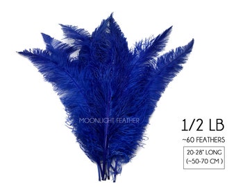 Ostrich Feathers, 1/2 lb - 20-28" Royal Blue Ostrich Large Spads Wholesale Feathers (bulk) Centerpiece Wedding Costume Supplier : 5045