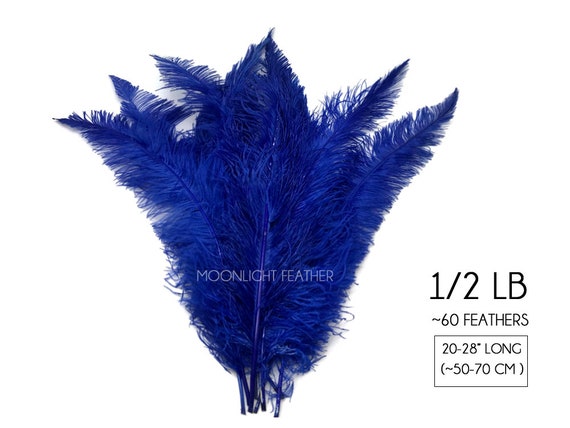 1/2 lb Royal Blue Ostrich Feathers