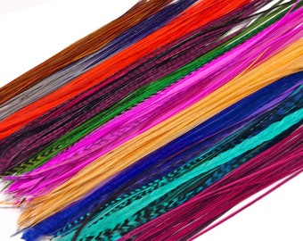 50 Pieces - Colorful Thin Long Whiting Farms Rooster Saddle Hair Extension Wholesale Feathers (Bulk) Fly Tying Jewelry Supply : 3112