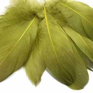 Green Feathers, 1 Pack - Lime Green Goose Satinettes loose feathers 0.3 oz.  : 155
