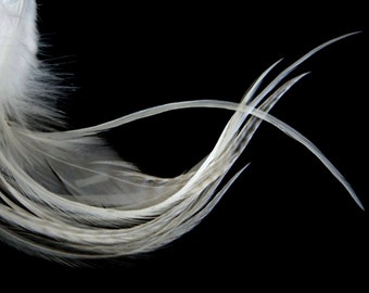 1 Dozen - Medium Solid Natural Ivory Rooster Saddle Whiting Hair Extension Feathers Fly Tying Supply : 373