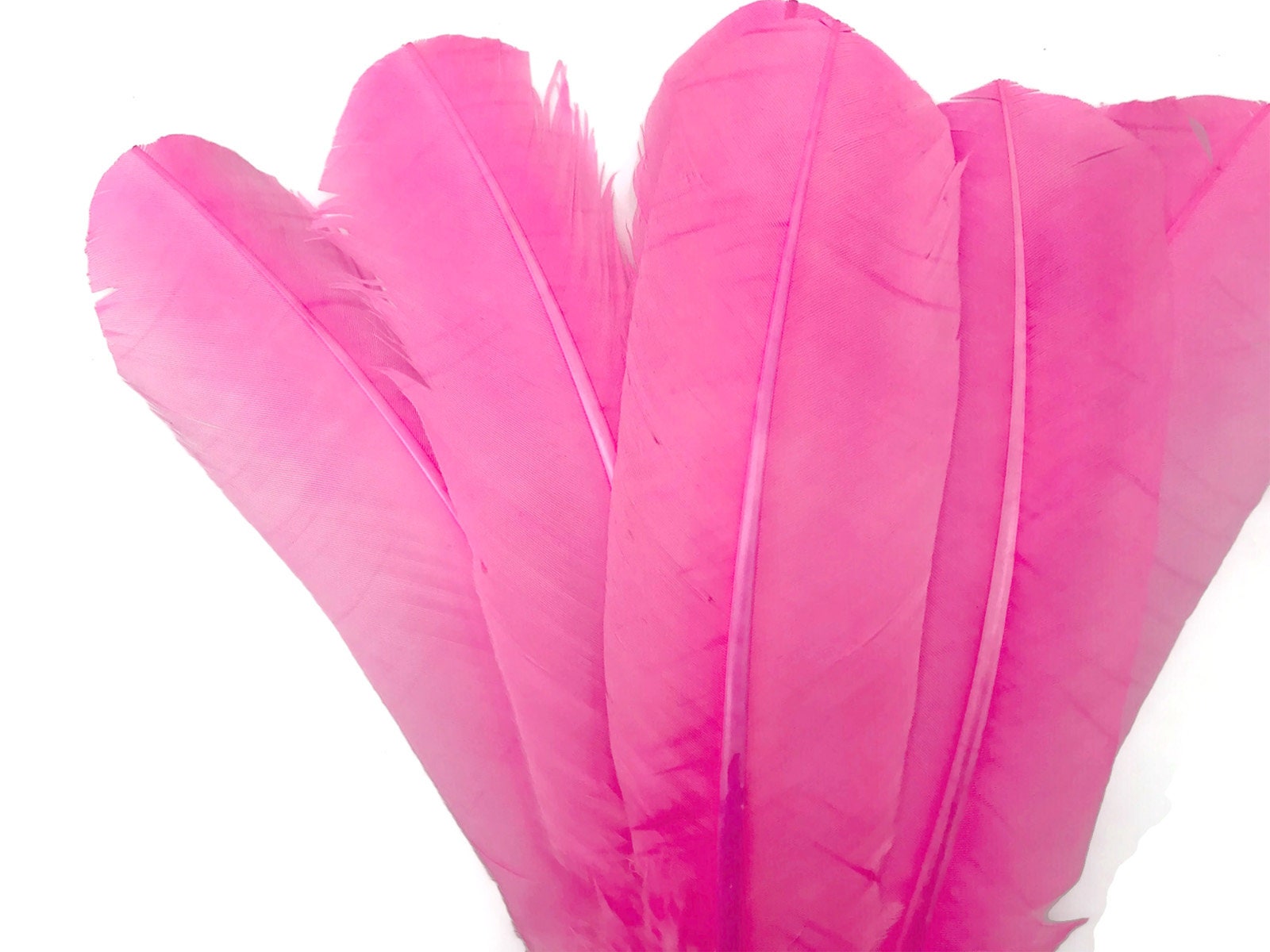 Plumas de pluma 6 piezas rosa Turquía rondas secundarias - Etsy España