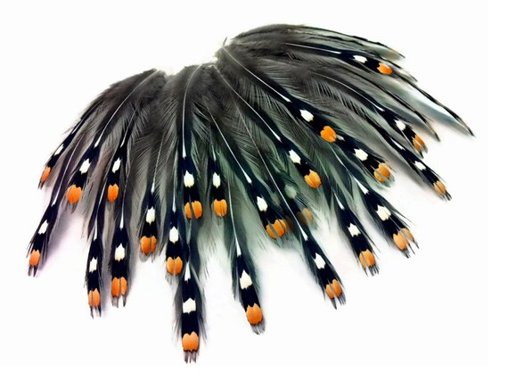 KOLIGHT Frangia Di Piume Di Gallo Naturali 5 Metri - Larghezza 10-15 Cm, Per Decorazioni Fai Da Te, Infradito, Costumi