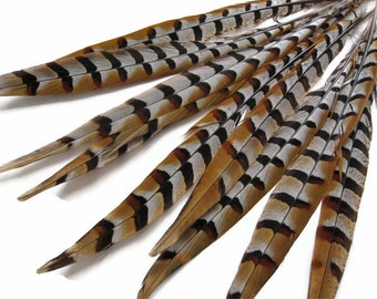 10 Pieces - 10-12" Natural Brown Reeves Venery Pheasant Tail Feathers Patterned Halloween Costume Craft Supply : 931