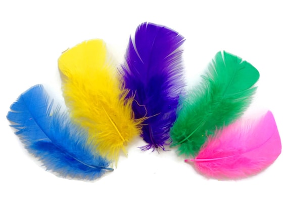 Wholesale Turkey Feathers, 1/4 Lbs Bright Mix Turkey T-base Body Plumage Wholesale  Feathers bulk Craft Supplier : 1481 