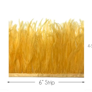 Ostrich Fringe Feathers, 6 Inch Strip Golden Yellow Ostrich Fringe Trim Feather : 3162 image 1
