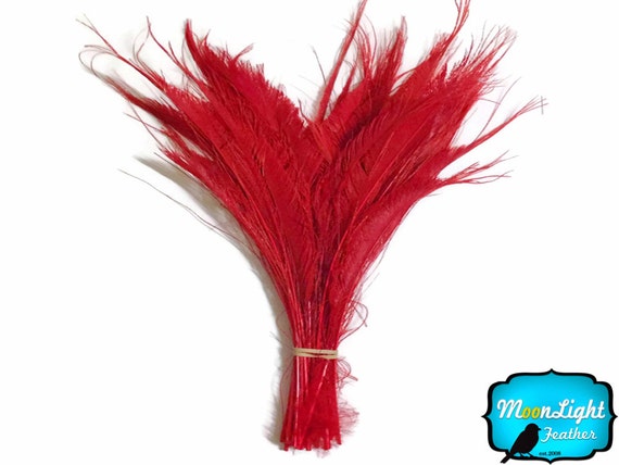 x20 red feathers 