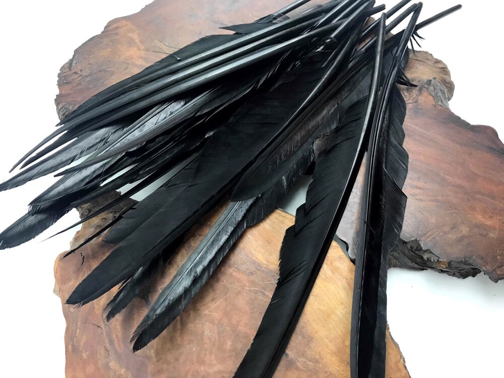 Wing Feathers 1/4 Lb. Black Goose Pointers Long Primaries Etsy