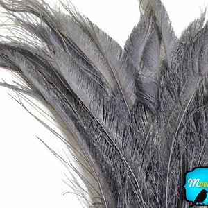 Gray Peacock Feathers, 5 Pieces SILVER GREY BLEACHED Peacock Swords Cut Feathers : 3565 image 1