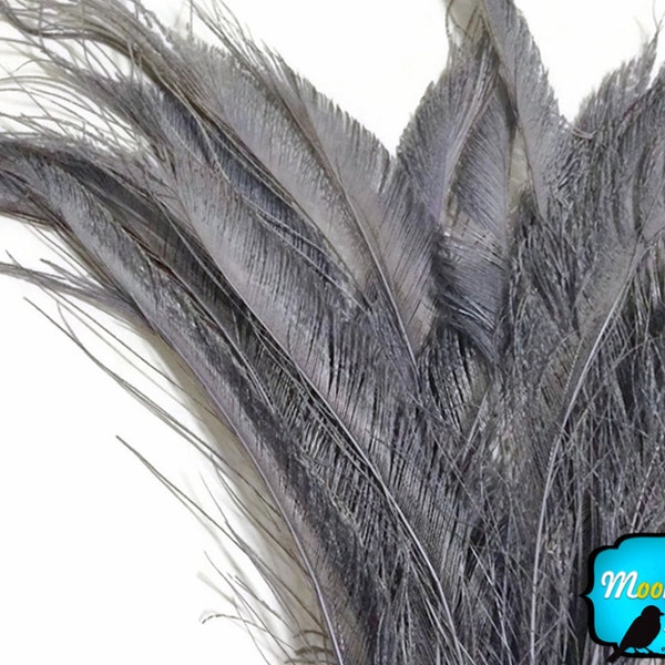 Gray Peacock Feathers, 5 Pieces - SILVER GREY BLEACHED Peacock Swords Cut Feathers : 3565