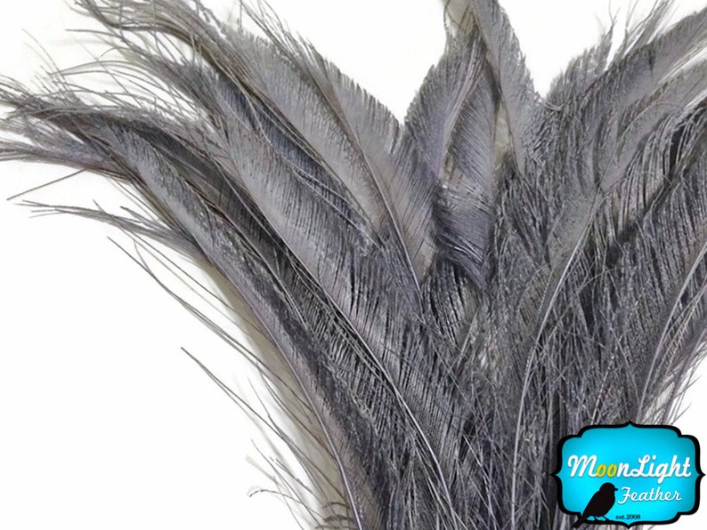 Gray Peacock Feathers, 5 Pieces SILVER GREY BLEACHED Peacock Swords Cut Feathers : 3565 image 1