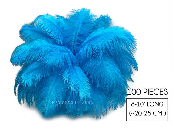 Ostrich Feathers, 100 Pieces 8-10 Turquoise Blue Ostrich Dyed Drab