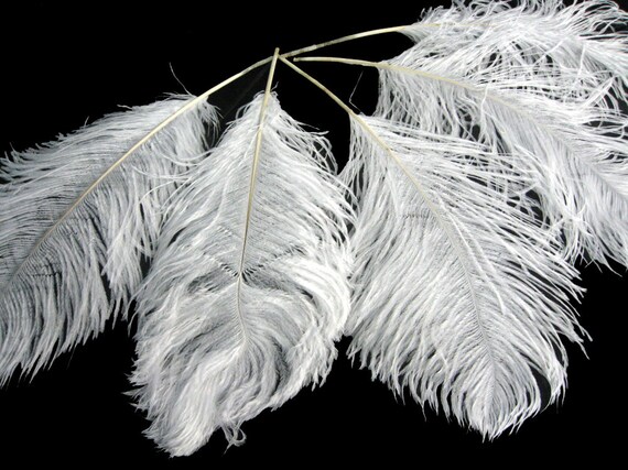 Ivory ostrich 2024 feathers wholesale