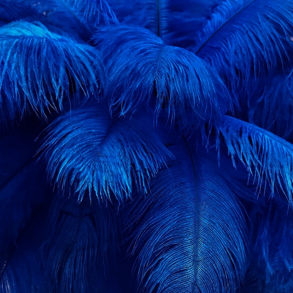 Usa Feathers autruche, 10 pièces - 6-8" Royal Blue Autruche teint d'autruche Drabs Body Plumage Feathers Craft Fournisseur: 1365