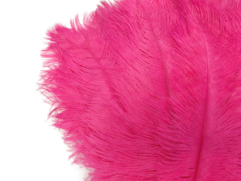2140 Pink Ostrich Feathers 10 Pieces 19-24 Hot Pink Ostrich Dyed Drabs Body Feathers Party Centerpiece Costume Supplier