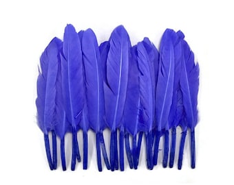 Duck Feathers, 500 Pieces - Lilac Sky Blue Duck Cochettes Wholesale Loose Feathers (Bulk) Craft Supply : 3789