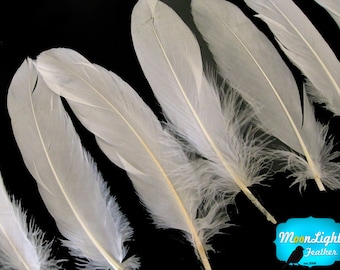 Ivory Goose Feathers, 1 pack - IVORY Goose Satinettes Loose feathers 0.3 oz. : 162