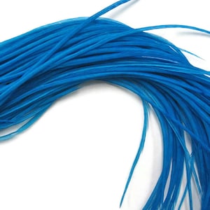10 Pieces - Solid Turquoise Blue Thin Long Whiting Farm Rooster Hair Extension Feathers Fly Tying Craft Supply : 305