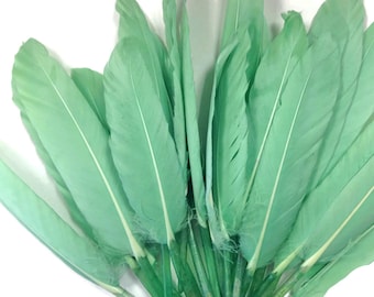 Duck Feathers, 500 Pieces - Aqua Green Duck Cochettes Wholesale Loose Feathers (Bulk) Craft Supply  : 3145