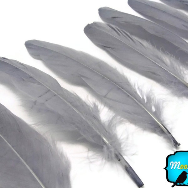 Piume d'oca, 1 confezione - Grey Goose Satinettes Piume sciolte 0.3 oz. : 2241