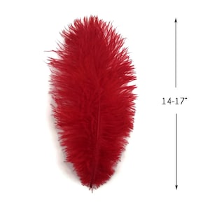 Red American Style Feathers 9 Pack