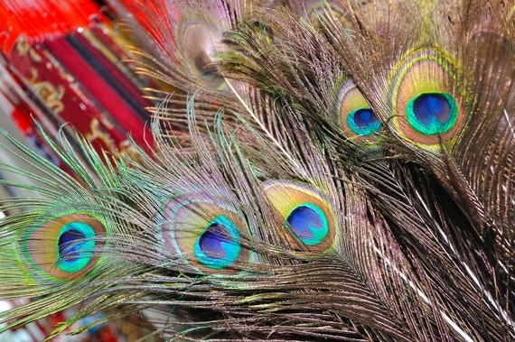 ISAKEN 100 Piume Di Pavone Decorative Naturali – Lunghezza 30-35 Cm, Colorate E Brillanti, Per Fai Da Te, Matrimoni, Festa, Acchiappasogni E Accessori