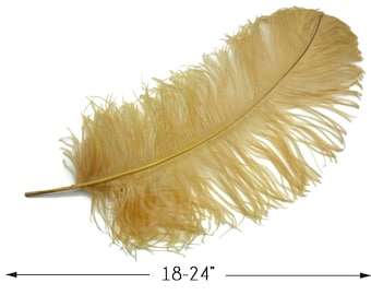 Gold Ostrich Feathers, 10 Pieces - 18-24" Antique Gold Large Prime Grade Ostrich Wing Plume Centerpiece Feathers : 5056