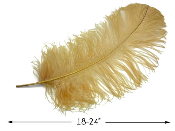 SOLD OUT! Premium Grade 1 Pure White Ostrich Feather Plumes - 24 Long x  8-10 Wide!