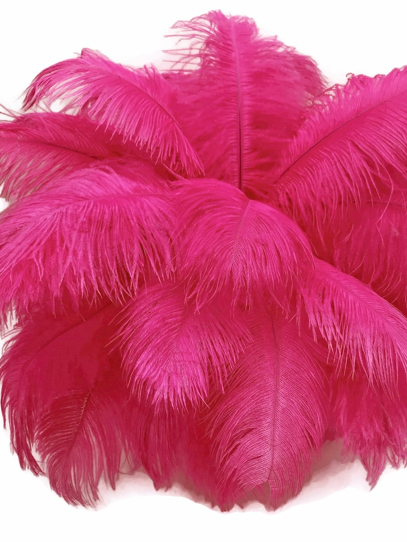 2140 Pink Ostrich Feathers 10 Pieces 19-24 Hot Pink Ostrich Dyed Drabs Body Feathers Party Centerpiece Costume Supplier