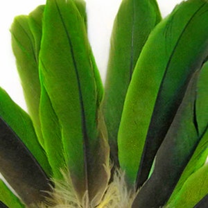 May include: A bunch of green and black feathers with a slight iridescent sheen. The feathers are arranged in a fan shape.