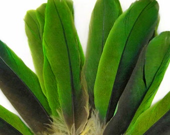 Parrot Feathers, 4 Pieces - Natural Green Amazon Parrot Wing Feathers -Rare- Craft Supply : 2265