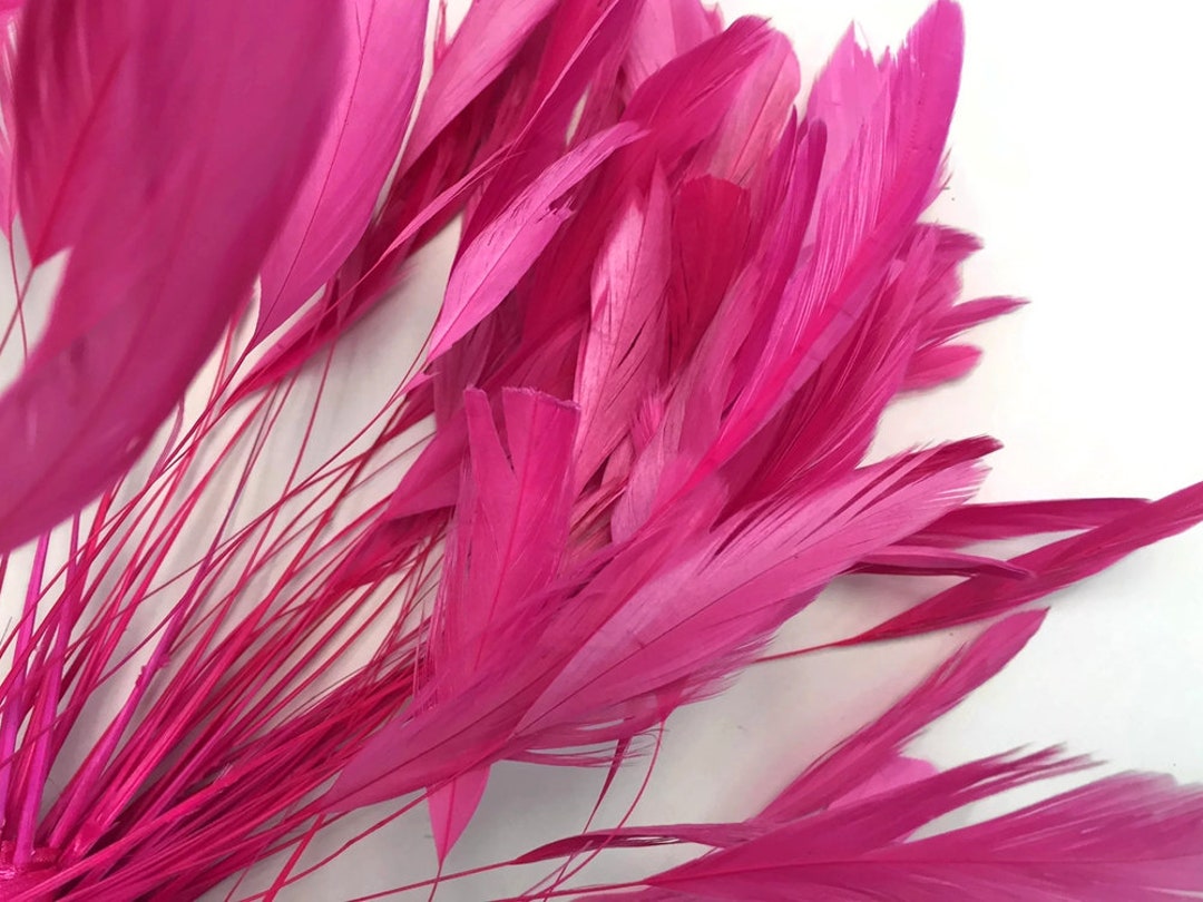 Stripped Coque Tail, 1 Dozen Hot Pink Stripped Rooster Coque Tail Feathers  : 596 