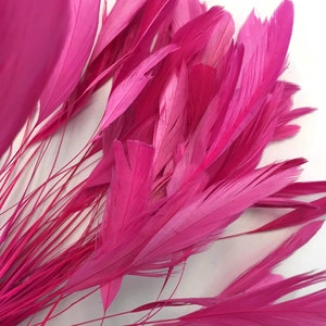Stripped coque tail, 1 Dozen - Hot Pink Stripped Rooster Coque Tail Feathers : 596