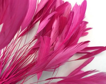 Stripped coque tail, 1 Dozen - Hot Pink Stripped Rooster Coque Tail Feathers : 596