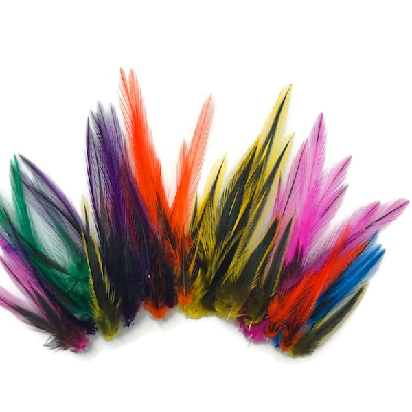 Tiny Feathers, 1 Pack - Colorful Mini Laced Hen Cape BLW Whiting Farms Feathers 0.02 oz. (bulk) : 3514