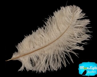Ostrich Feathers,10 Pieces - 6-8" Off White Ostrich Dyed Drabs Body Feathers : 1362