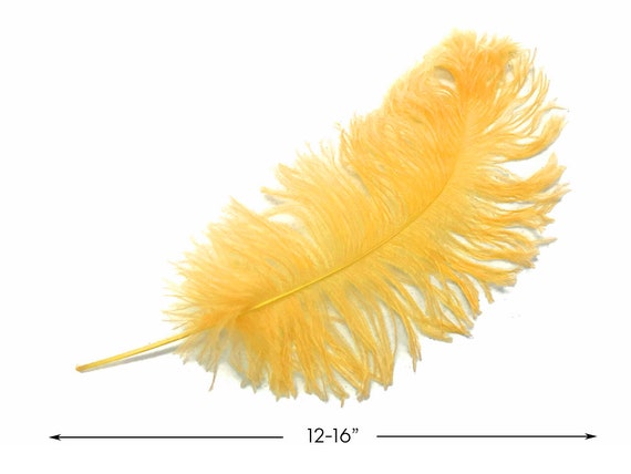 Ostrich feather suppliers online