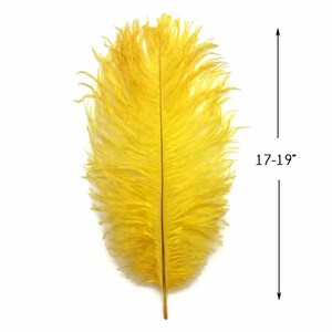 Wholesale Supplier , 1/2 lb 17-19 Yellow Large Ostrich Drab Plumage Wholesale Feathers bulk Mardi Gras Carnival Wedding : 2904 image 2