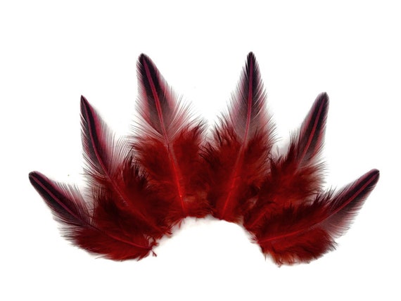 Exotic Feathers, 10 Pieces Red Dyed Jungle Cock Loose Plumage