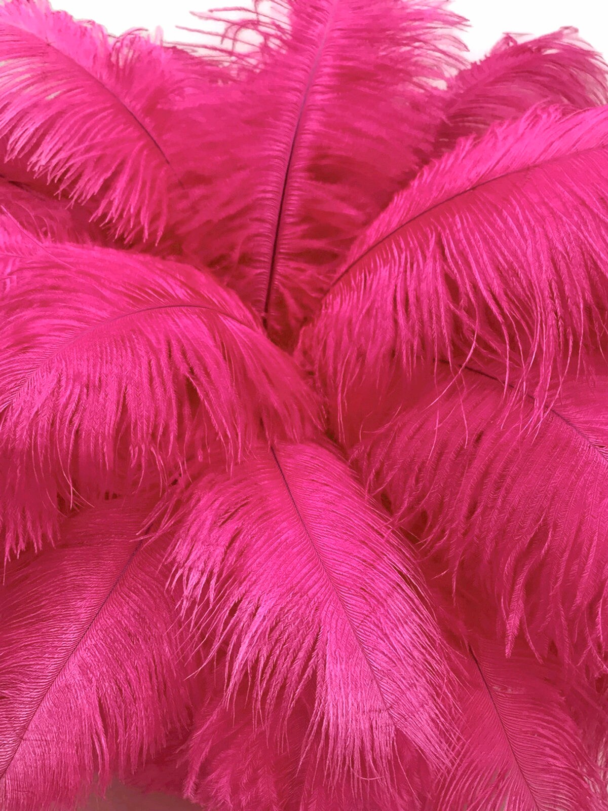 Ostrich Feathers - Plumes - Dusty Rose Drabs - 10 Pcs. - (8-10 x 3-5 W)