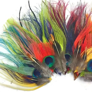 Puede incluir: Una colecci&oacute;n de plumas de pavo real de colores con una variedad de colores que incluyen rojo, amarillo, verde, azul y morado. Las plumas est&aacute;n dispuestas en forma de abanico y tienen un aspecto natural y org&aacute;nico.